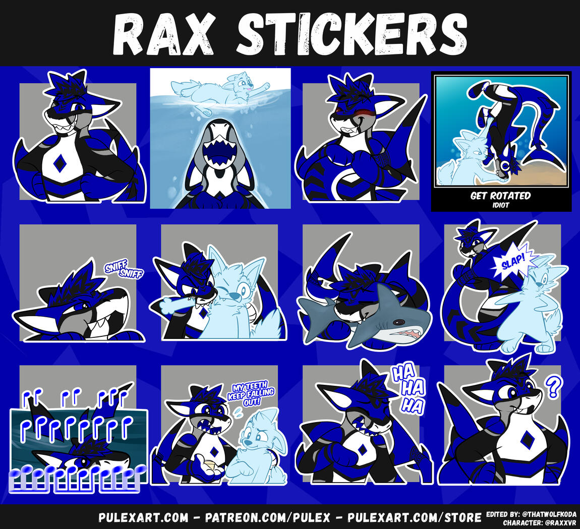 @RaxxVR - 2026